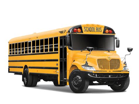 School Bus Videos, Download The BEST Free 4k Stock Video